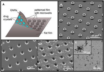 Polylactic Acid-Based Patterned Matrixes for Site-Specific Delivery of Neuropeptides On-Demand: Functional NGF Effects on Human Neuronal Cells